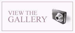 btn-viewthegallery-1