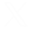 x icon