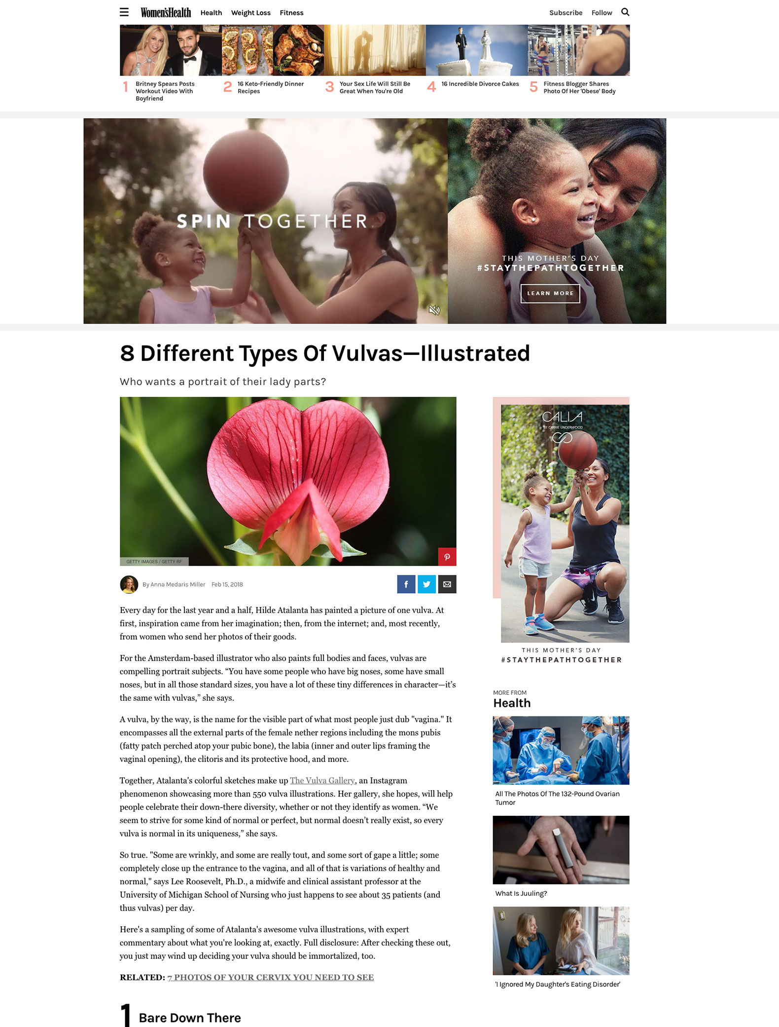 in the media 8 Different Types of Vulvas – Illustrated